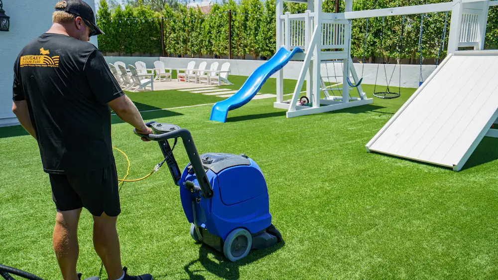 DIY Turf Upkeep Between Cleanings: What You Can Do and What to Leave to the Pros